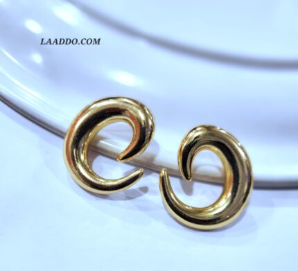 Elegant Stainless Steel Earrings for Women & Girls