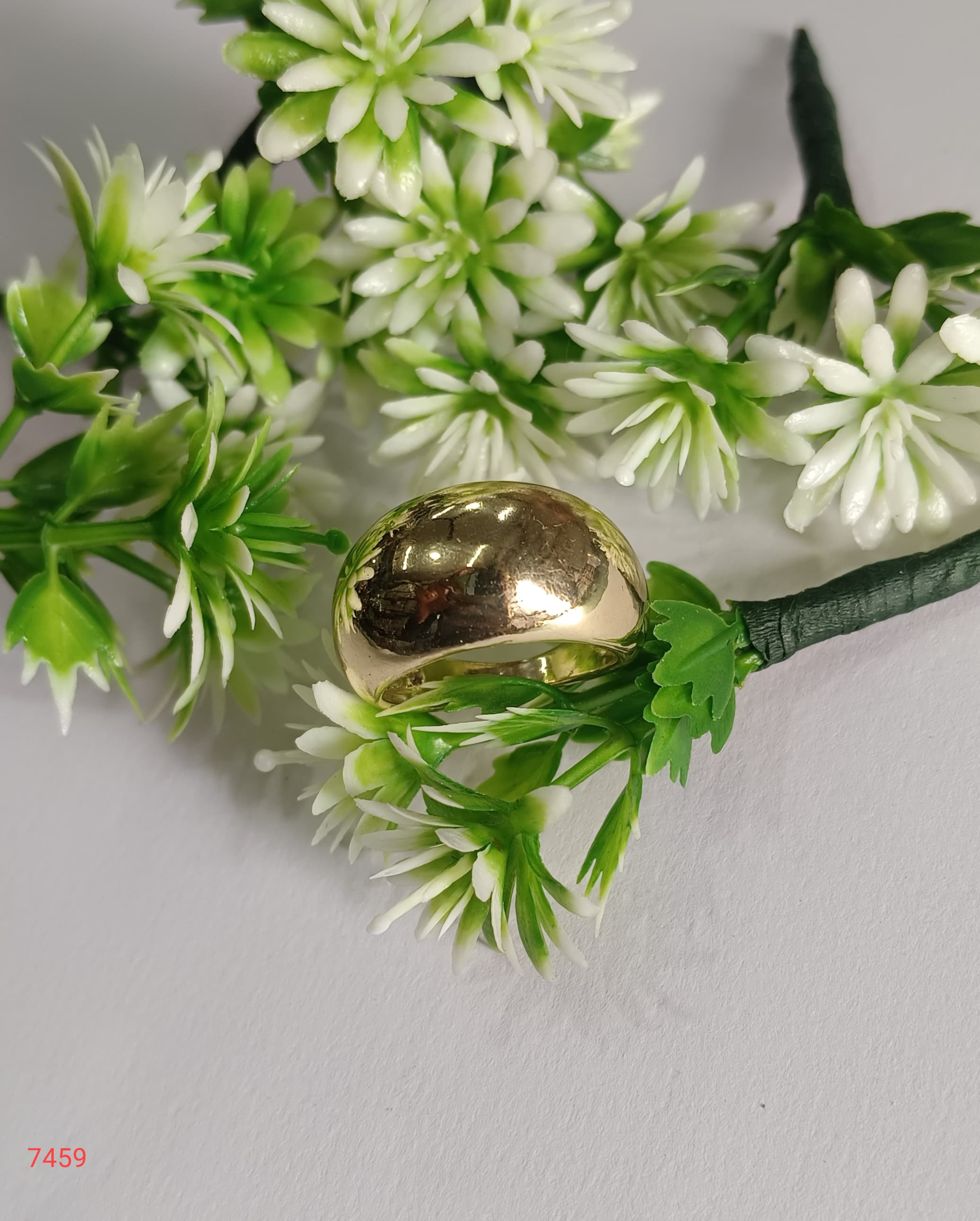 WhatsApp Image 2025-12-15 at 9.40.42 AM (1)