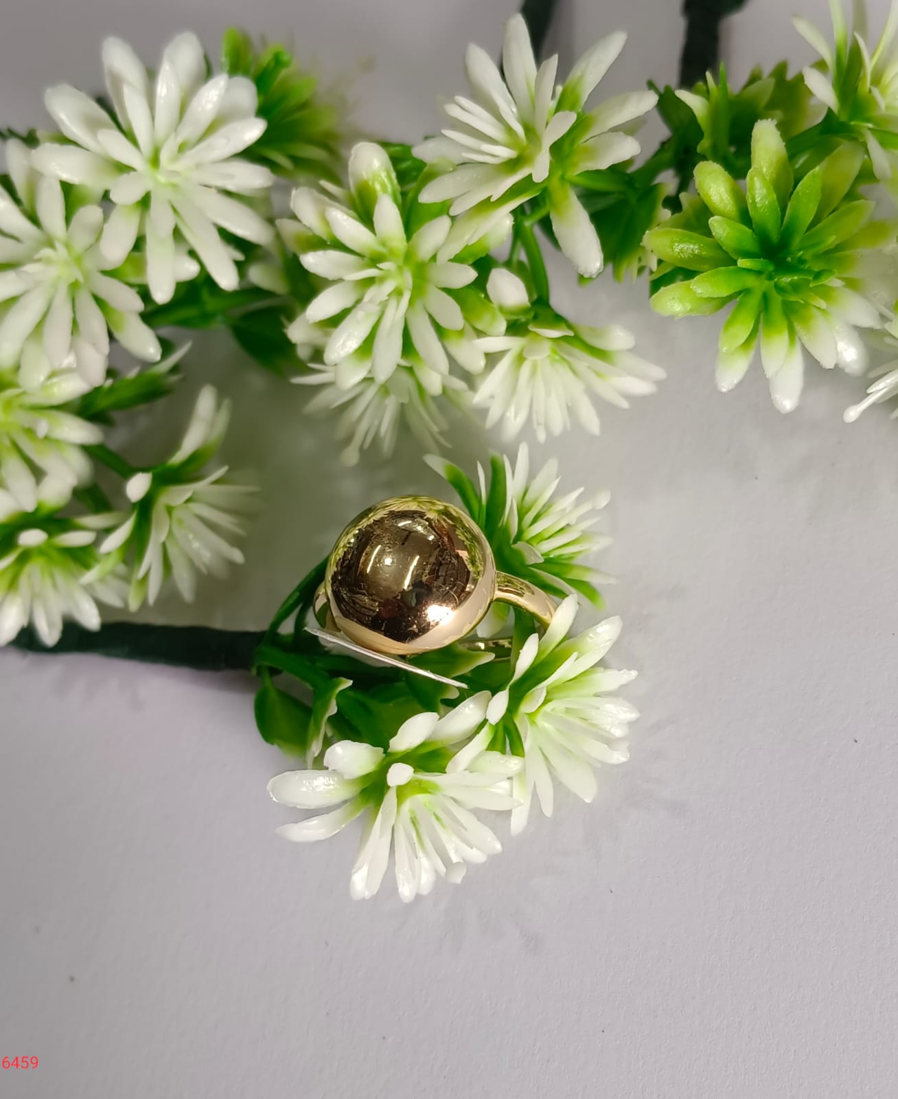 WhatsApp Image 2025-12-15 at 9.40.49 AM