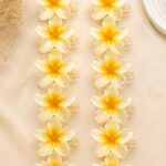 Elegant Plumeria Flower Hair Clips – 12 Piece Set
